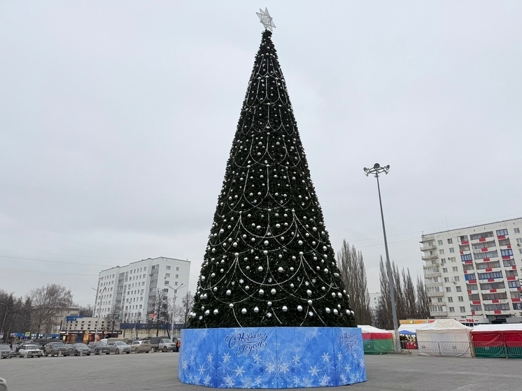Возле Дворца борьбы в Уфе установили елку