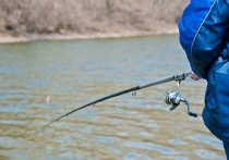 В регионе продолжают ужесточаться различные ограничения, касающиеся как любительской рыбалки, так и профессионального промысла
