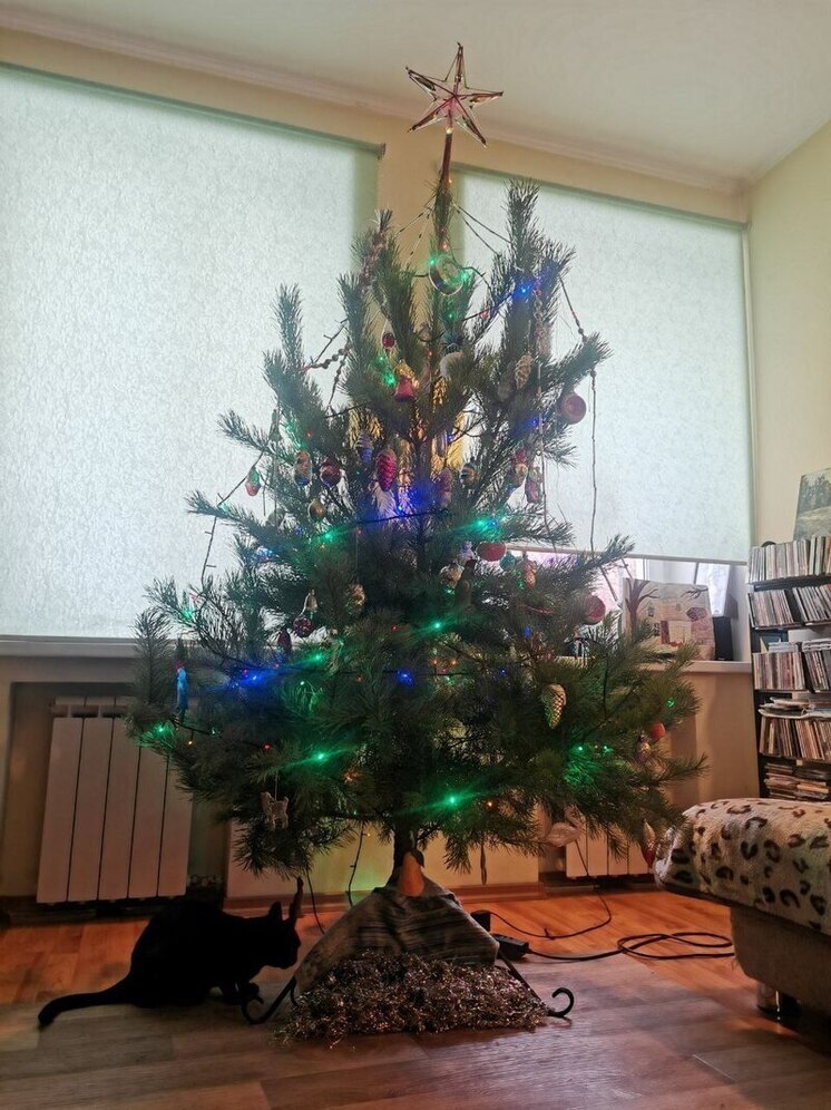 Стало известно, какие именно жители Самары больше всех ценят Новый год