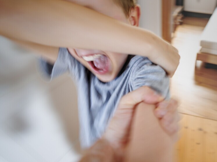 Слуцкий предложил снизить возраст уголовной ответственности за половые преступления до 12 лет