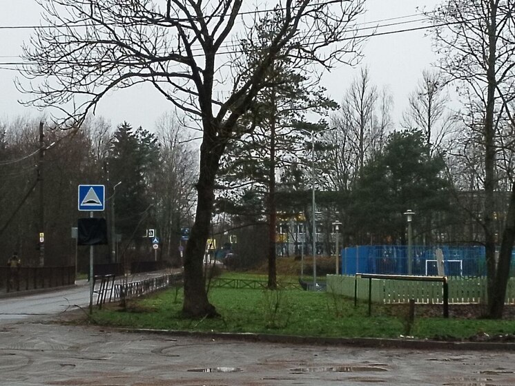 В Ленобласти 8 декабря будет от −2 до +2 градусов