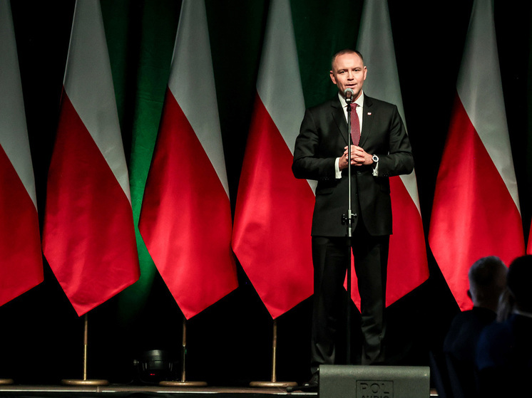 Президент Польши Кароль Навроцкий в ходе пресс-конференции в международном аэропорту Жешув-Ясенки заявил, что Зеленский должен быть благодарен польским солдатам и польскому народу