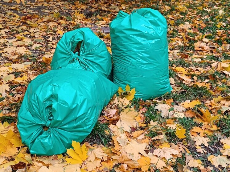 В столице Хакасии завершили работу 15-летнего карьера растительных отходов