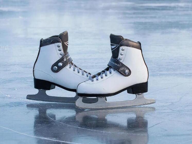 SHOT: Спрос на синтетический лёд в России вырос на 120%