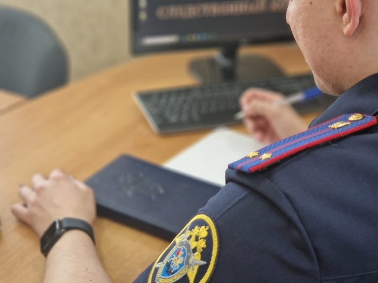 В Воронеже проверяют сообщения о домогательствах учителя к школьнице