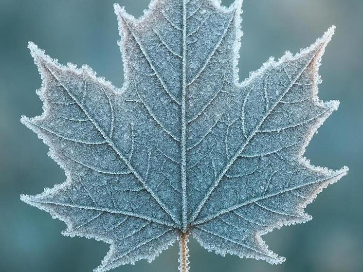 Синоптики 8 декабря прогнозируют в Смоленске пасмурную погоду