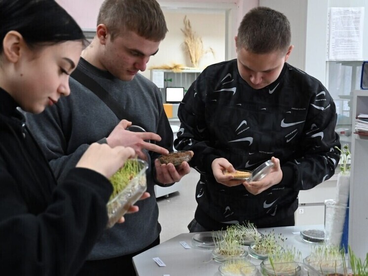 Студенты Васильевского колледжа прошли практику в лаборатории Мелитопольского госуниверситета