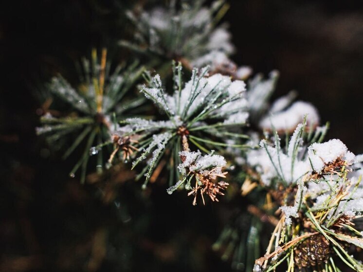 Челябинскую область накрывает снегопад