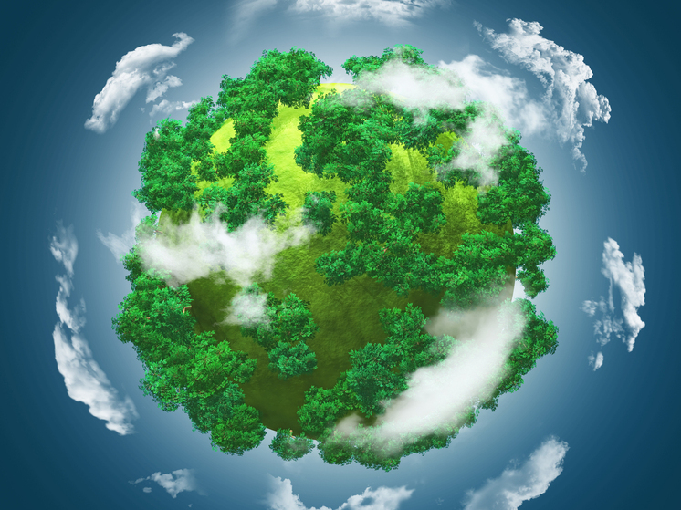 Проект из Поморья стал лауреатом Всероссийской премии «Экопозитив-2025»