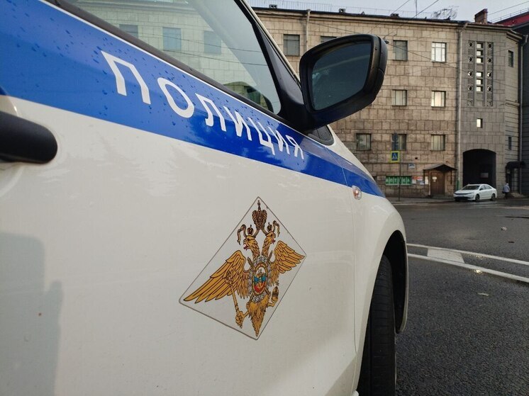 Полиция выясняет, кто сидел за рулем упавшего в реку авто на лейтенанта Шмидта