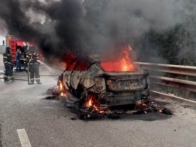 Под Вязниками на трассе М7 вспыхнул автомобиль