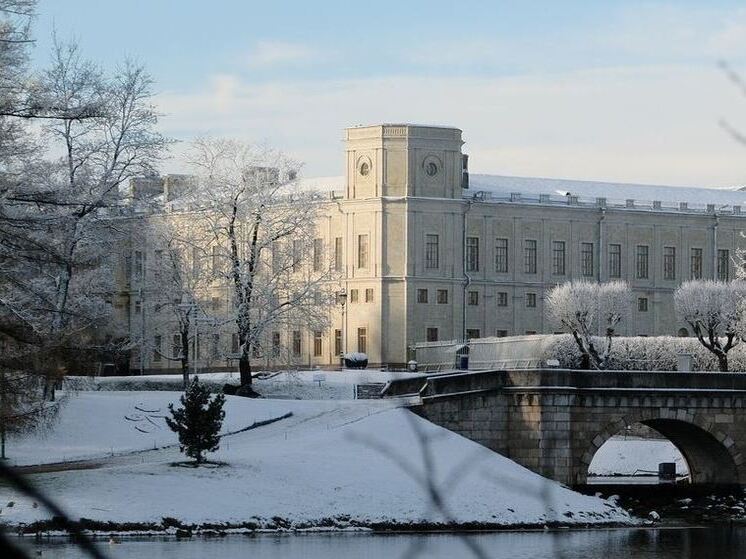 Фестиваль «Новогодняя кутерьма» в Гатчине посвятят композитору Чайковскому