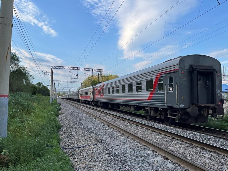 Пьяный саратовец пытался зарезать попутчика в поезде
