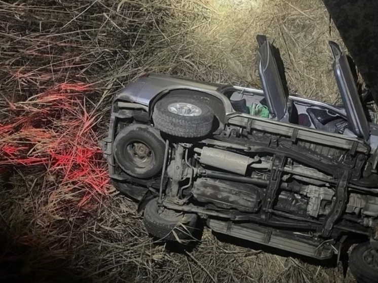 Водитель погиб в упавшей с моста иномарке в Ростове