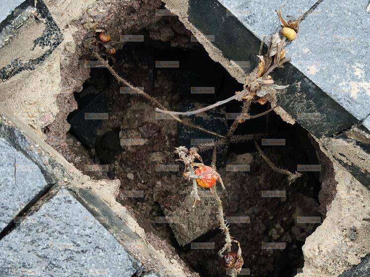 Опасный провал грунта заметили на Университетской набережной в Петербурге