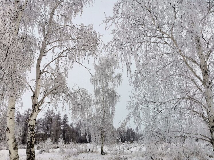 В Якутии ожидаются снегопады, сильный ветер и морозы до -50°C