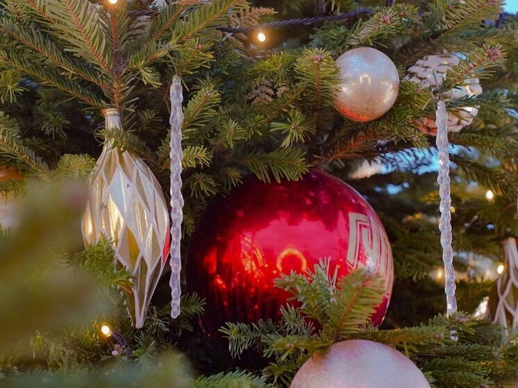 В Туле 90% жителей положительно относятся к Новому году