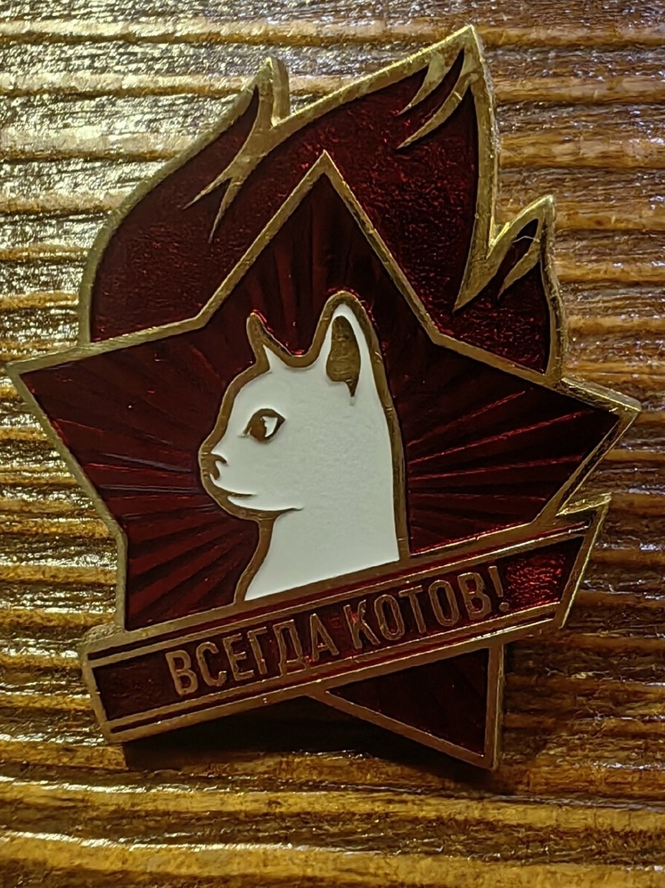 Петрозаводчане вступают в новую партию: такая партия нам нужна!