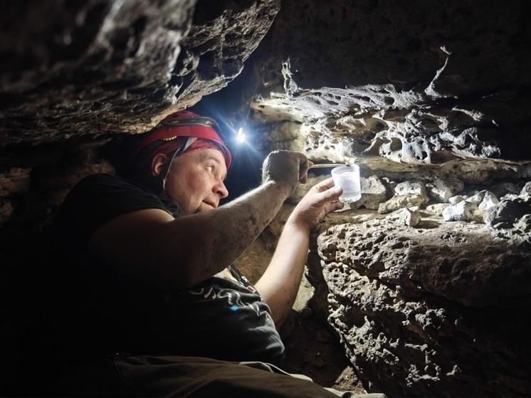В Липецкой области завершили инвентаризацию пещер Донского бассейна