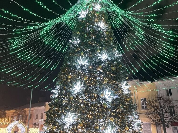 Огни главной новогодней ели Ельца впервые включили в тестовом режиме