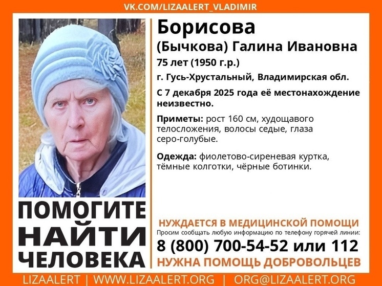 Нуждающаяся в медпомощи пожилая женщина провала во Владимирской области