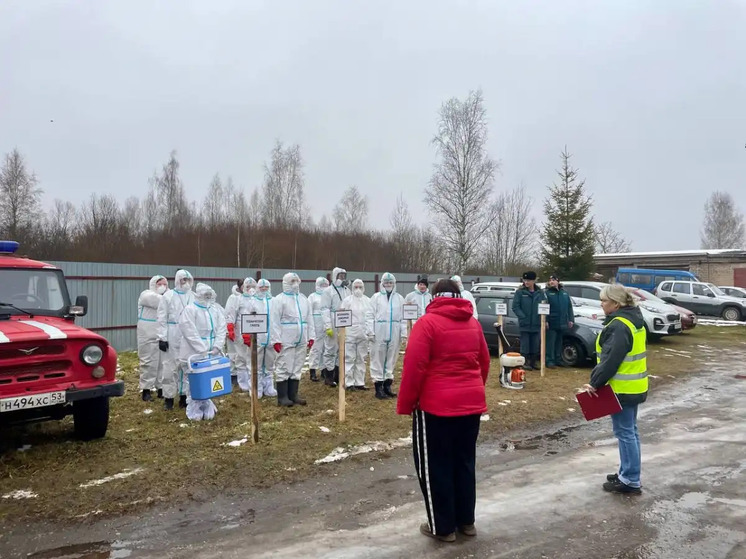 В Боровичском округе прошли учения по ликвидации очагов африканской чумы свиней