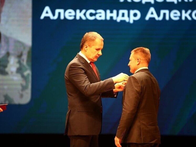 Гладков вручил более 50 наград участникам белгородской самообороны