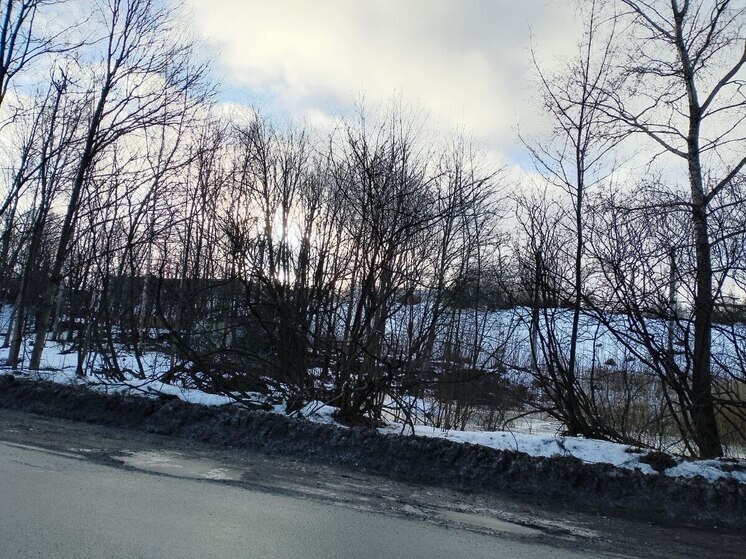 Снегопад и до +2 градусов пообещали синоптики ленинградцам 8 декабря