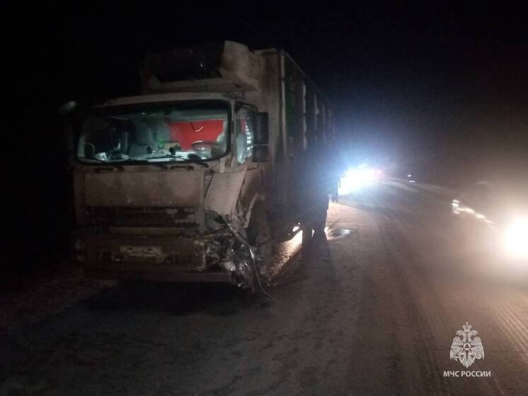 В Башкирии в аварии погиб мужчина, пострадали его жена и пятеро детей