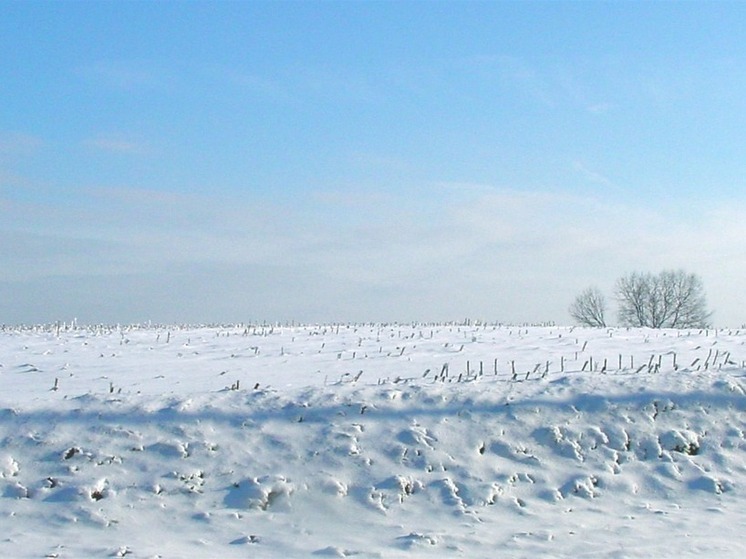 Завтра мороз расскажет о погоде в Калмыкии