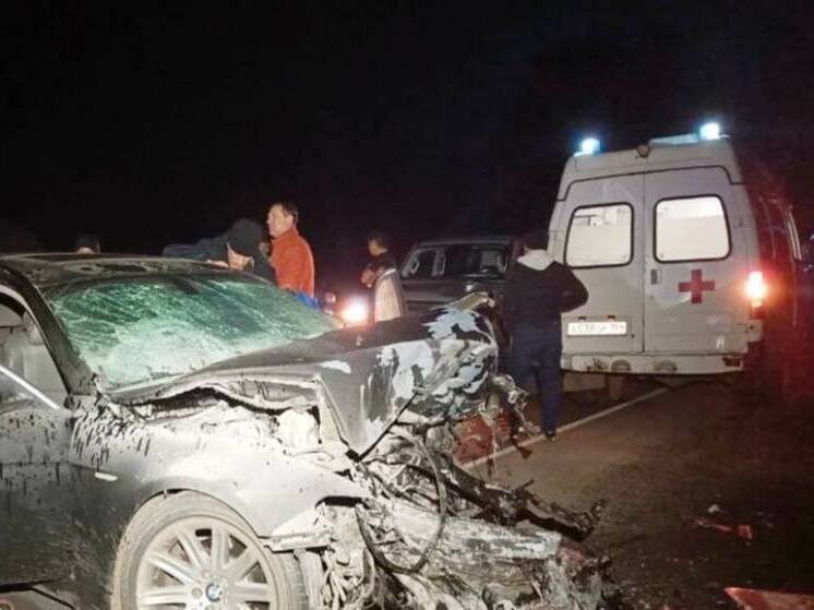 В ДТП в Энгельсском районе погибли двое взрослых и ребёнок