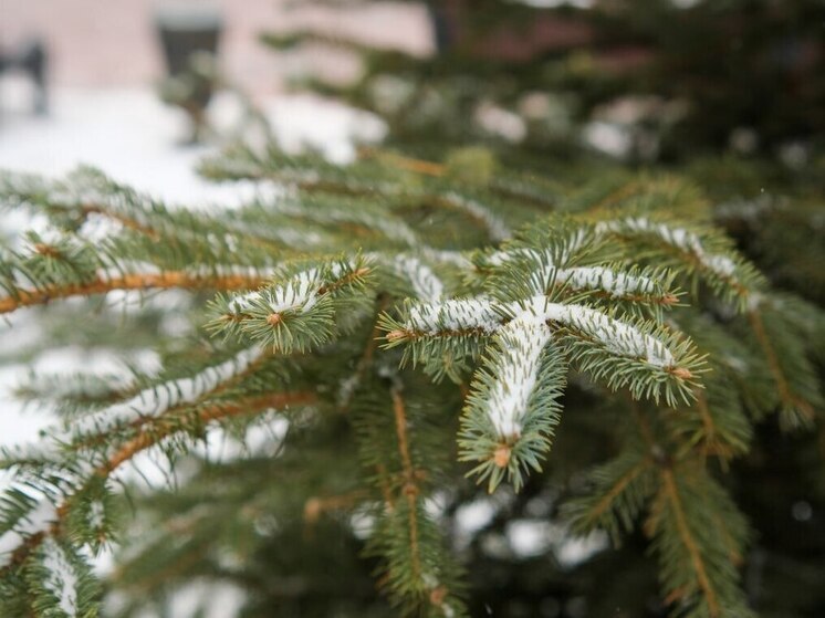 Ночные заморозки и гололедицу обещают в Волгоградской области