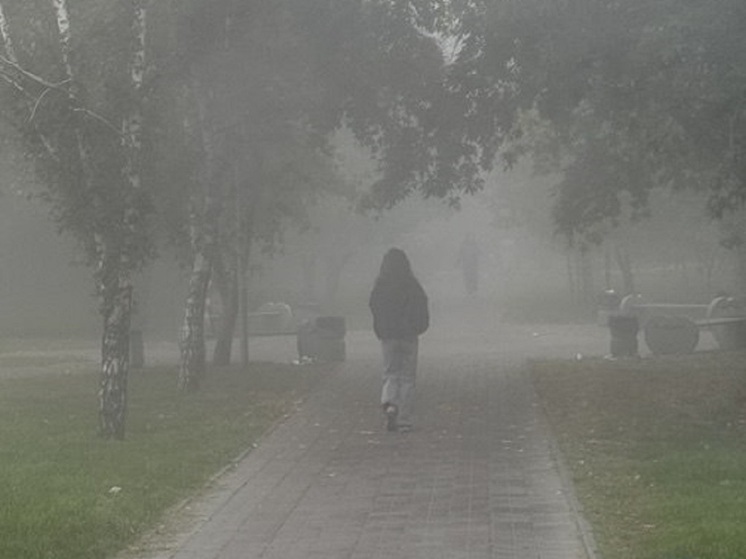 Жителей Мордовии предупредили о тумане 8 декабря