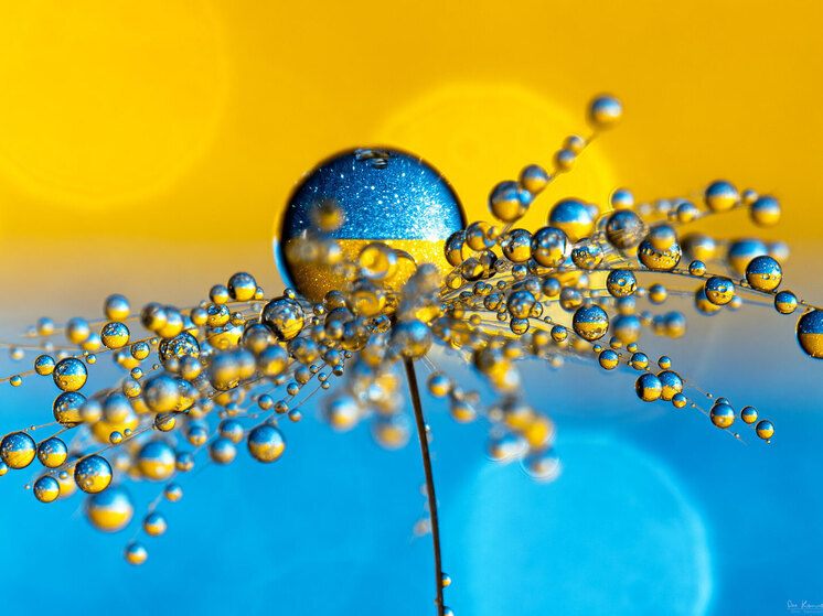 Кабмин Украины прекращает полномочия наблюдательных советов энергетических компаний