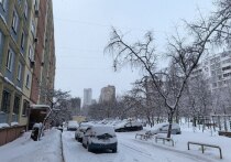 Продолжаем следить за геомагнитным полем в регионе
«МК во Владивостоке» продолжает информировать о состоянии геомагнитного поля в регионе