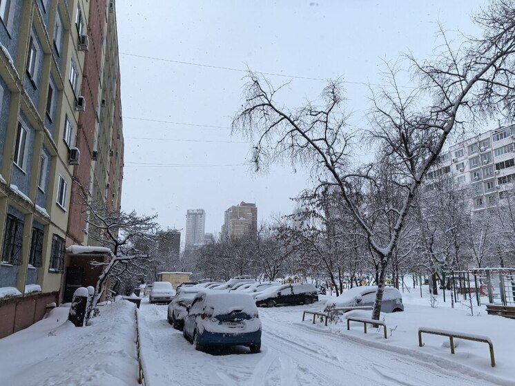 Магнитные бури во Владивостоке на неделю с 8 по 14 декабря 2025 года