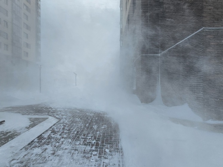 Новосибирцев предупредили о резком похолодании и напомнили правила отмены занятий в школах