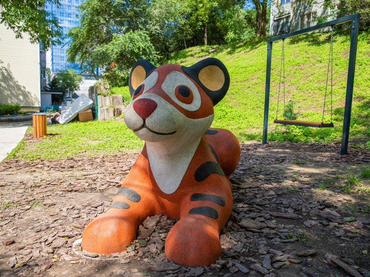 Жители Владивостока выбирают, какие скверы и площадки построить в 2026 году