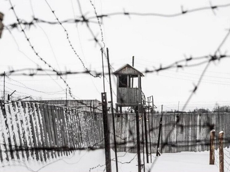 В Бурятии экс-заключенного снова отправили в колонию за уклонение от надзора