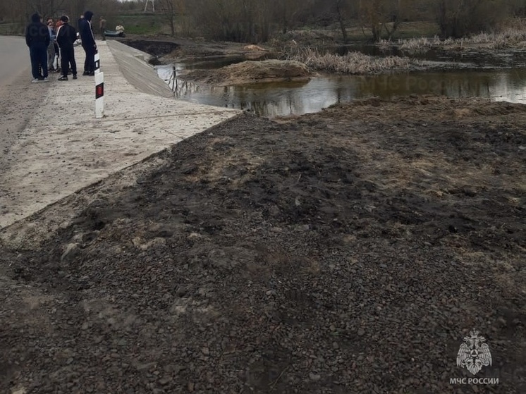 В Курской области в реке Сейм обнаружено тело мужчины