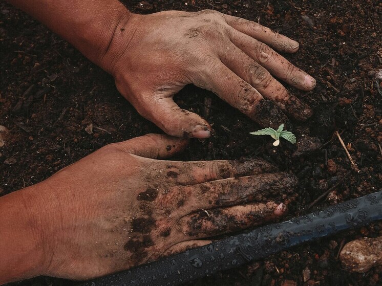 В Бурятия завершили обучение шестого потока «Школы фермера»
