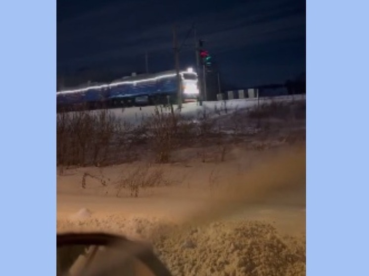 Поезд Деда Мороза проследовал под Новосибирском