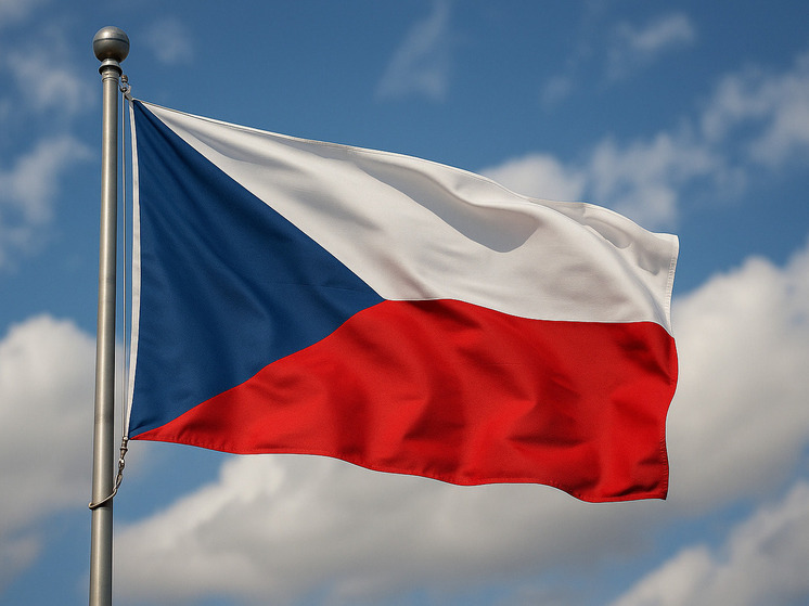 Президент Чехии Павел не исключил, что НАТО придется сбивать дроны над Европой