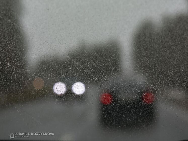 Мокрый снег пройдет в Карелии 8 декабря