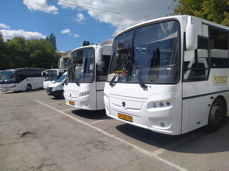 В ноябре жители Саратовской области подали 132 обращения в областной минтранс