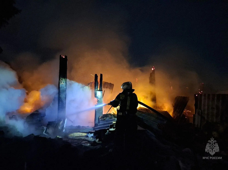 Мужчина получил травмы на пожаре в двухквартирном доме в Омской области