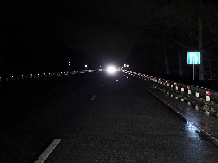 На федеральной трассе Марий Эл пешехода сбил автобус