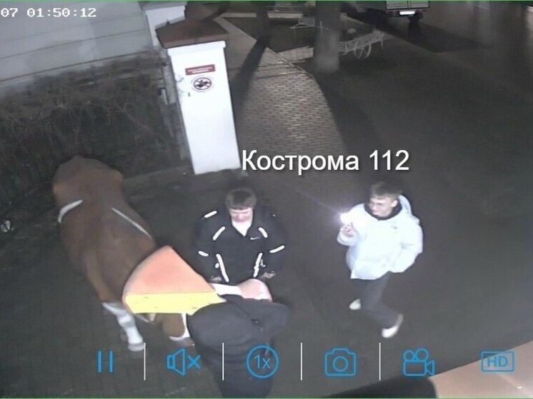 В ночь на 7 декабря какие-то уроды искалечили костромскую достопримечательность