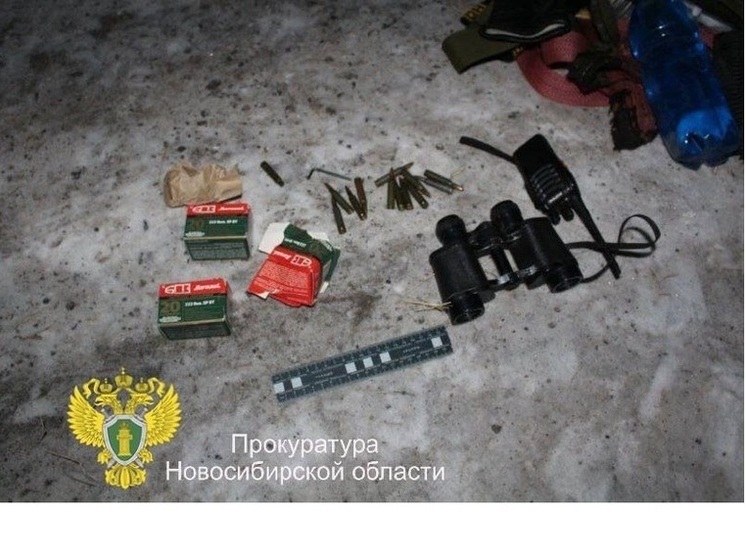 Охотники из Чановского района осуждены за браконьерский отстрел косули