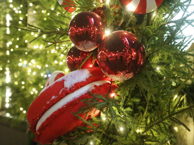 Воронежец украл новогоднее настроение у жителей дома на левом берегу